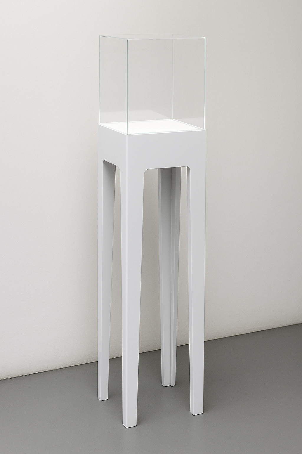 struttura espositiva con gambe e teca in plexiglass trasparente